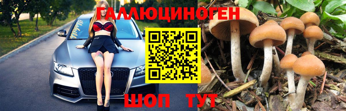 Галлюциногенные грибы мухоморы  Вход с VPN  Ишим  Псилоцибиновые грибы Psilocybe 